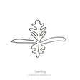 Line drawing of an Iceland poppy seedling, showing a deeply lobed leaf above two narrow strap-like cotyledon leaves, captioned "Seedling."