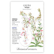 White Gaura seed packet with botanical information and the illustration of the flower