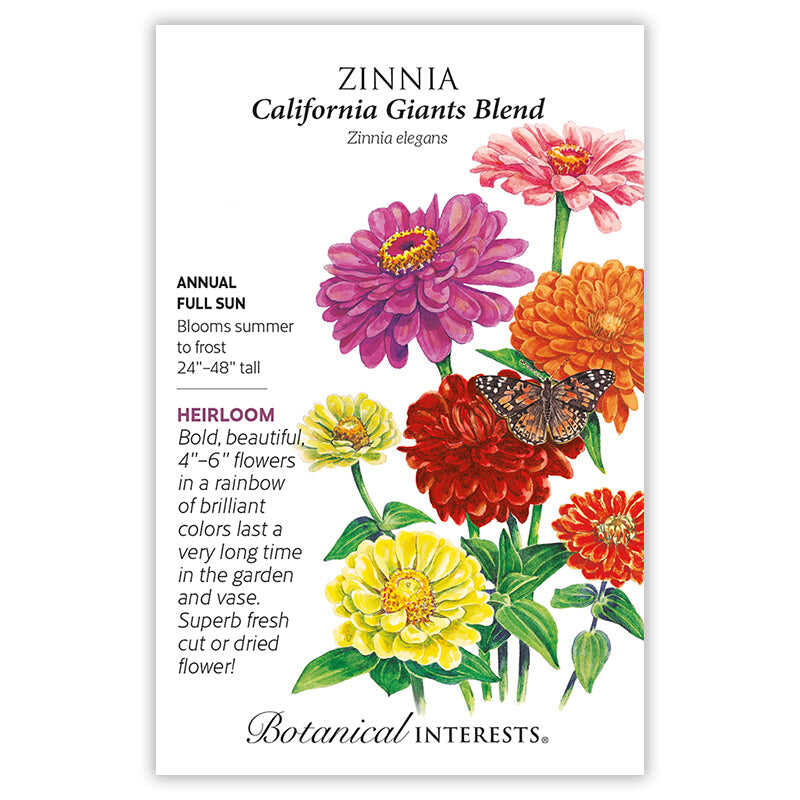 Front of a Botanical Interests seed packet for California Giants Blend Zinnia Seeds featuring plant characteristics, growing details, and a botanical illustration of bright pink, purple, orange, red, and yellow zinnia flowers with a butterfly landing on a bloom.
