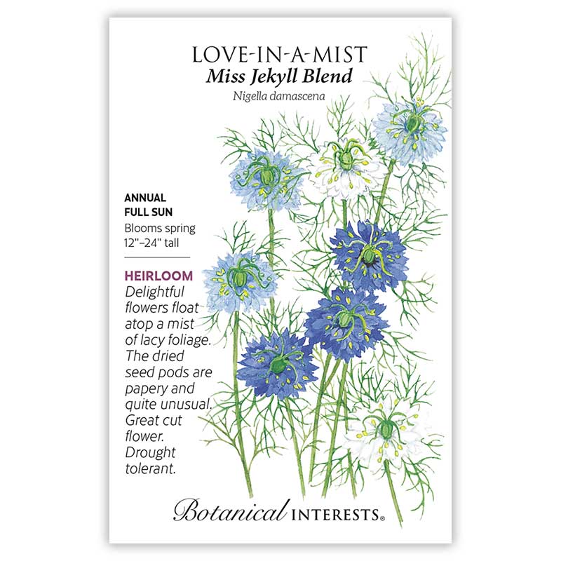 Front of a Botanical Interests seed packet for Miss Jekyll Blend Love-In-A-Mist Seeds featuring a detailed botanical  information and illustration of blue flowers and delicate lacy foliage.