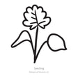 Black line drawing of Eastern Red Columbine seedling in a white background.