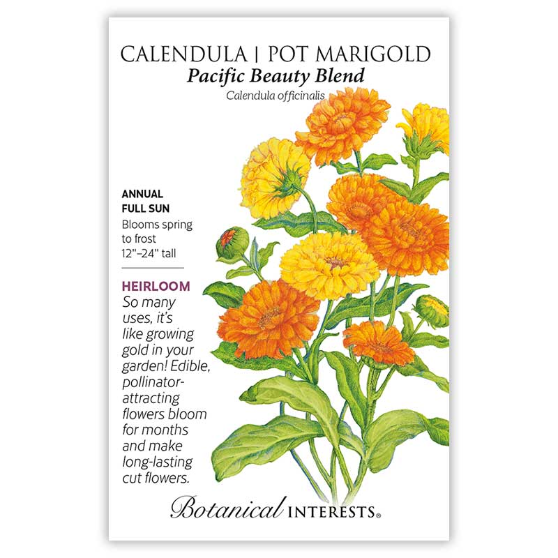 Seed packet for Pacific Beauty Blend Calendula (Pot Marigold), illustrated with a cluster of layered orange and yellow daisy-like blooms on green stems, with printed text noting it's a full-sun heirloom annual growing 12–24 inches tall that blooms spring to frost.