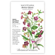 Seed packet for Bronze Queen Nicotiana with illustration of its flower and botanical information