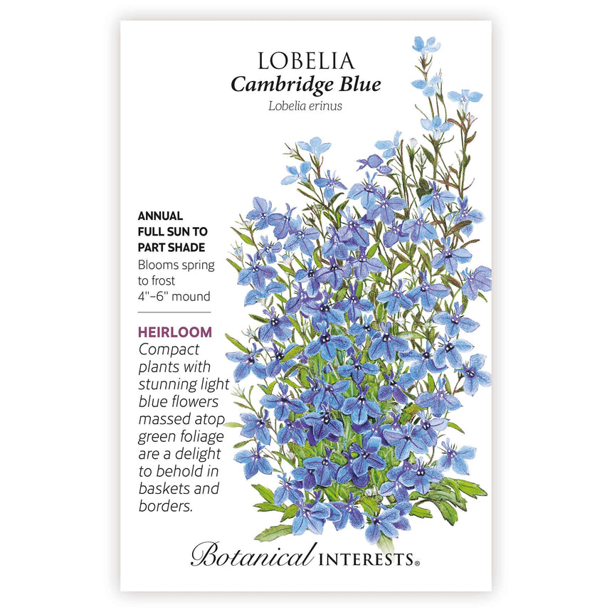 Seed packet for Cambridge Blue Lobelia featuring an illustration of a compact mounded plant covered in small five-petaled light blue flowers with white centres above green foliage, with printed text noting it's an heirloom annual for full sun to part shade, blooming spring to frost at a 4–6 inch mound size, suited to baskets and borders.