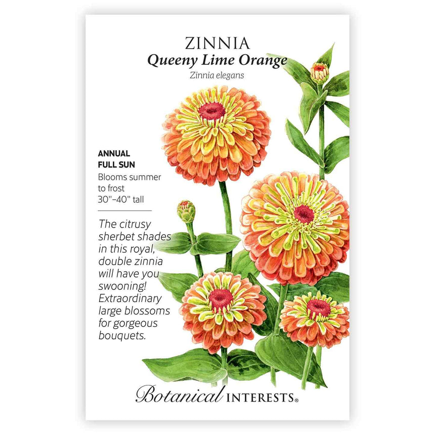 @bloomingjoyflowerco Beginner's Zinnia Collection