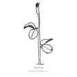 Black line drawing of the Mammoth Navy Blue Sweet Pea seedling in a white background