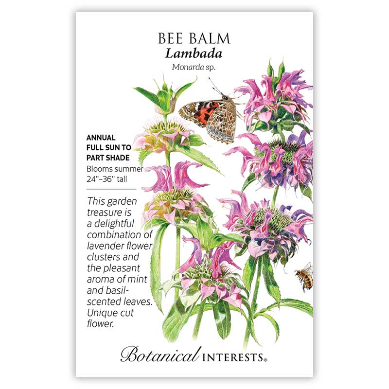 Seed packet for Bee balm plant with butterfly and bee on a white background, featuring botanical information.