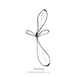 Line drawing of a young seedling with a pair of small rounded cotyledon leaves and a longer, elongated stem leaf, labeled "Seedling" beneath the illustration.