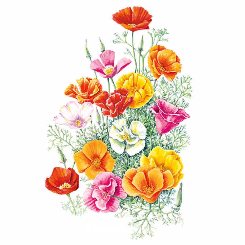 Botanical illustration of vibrant yellow, orange, red, white, and pink double and semi-double Mission Bells California poppies on a white background.