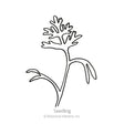 Black and white line art illustration of a fern-like California poppy seedling on a white background, labeled "Seedling" with copyright text for Botanical Interests, Inc.