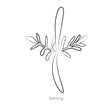 Black line drawing of Fizzy White Cosmos seedling on a white background