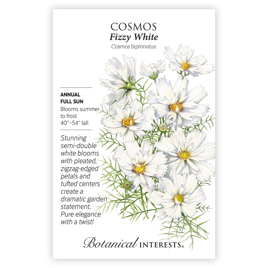 Fizzy White Cosmos seed packet with botanical illustration and botanical information on a white background