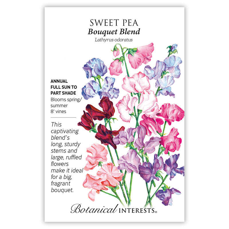 Seed packet for Bouquet Blend Sweet Pea featuring an illustration of ruffled blooms in crimson, pink, lavender, and blue on long stems, with text noting it's an annual for full sun to part shade, blooming spring/summer on 8-foot vines.
