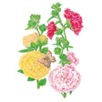 Botanical illustration of Chater's Double Hollyhock showing fully ruffled double blooms in yellow, pink and deep red-pink atop leafy stems with unopened buds, with a small brown butterfly resting on a yellow flower.