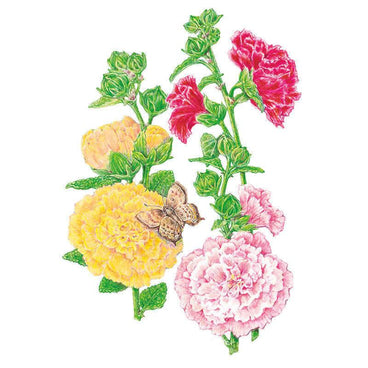 Botanical illustration of Chater's Double Hollyhock showing fully ruffled double blooms in yellow, pink and deep red-pink atop leafy stems with unopened buds, with a small brown butterfly resting on a yellow flower.