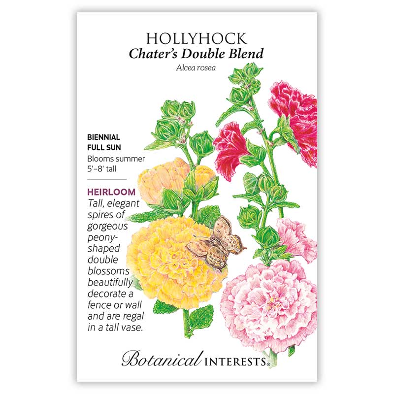 Seed packet for Chater's Double Blend hollyhock featuring a botanical illustration of tall stems with peony-shaped double blooms in yellow, pink, and red visited by a small butterfly, alongside text noting it's a biennial, full-sun, heirloom variety growing 5–8 feet tall with summer blooms.