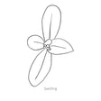 Line drawing of Snow on the Mountain Euphorbia seedling on a white background