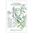 Botanical seed packet for Euphorbia 'Snow on the Mountain' with plant illustration and botanical information.
