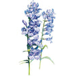Botanical illustration of Rocky Mountain Blue penstemon showing two upright stems densely lined with tubular, bell-shaped purple-blue flowers and slender green leaves against a white background.