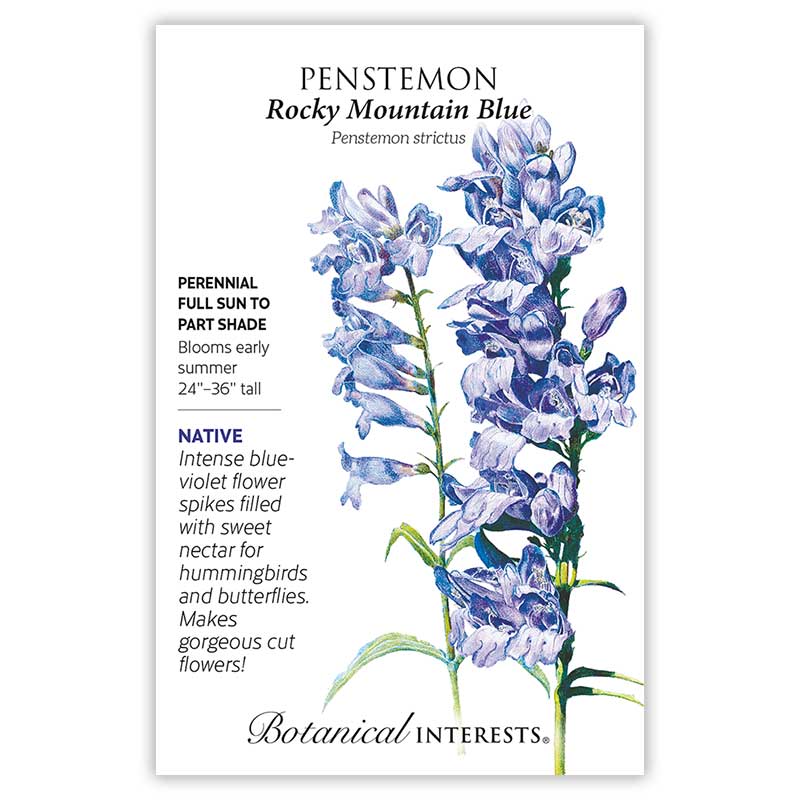 Botanical seed packet for Penstemon Rocky Mountain Blue with floral illustration and botanical information.