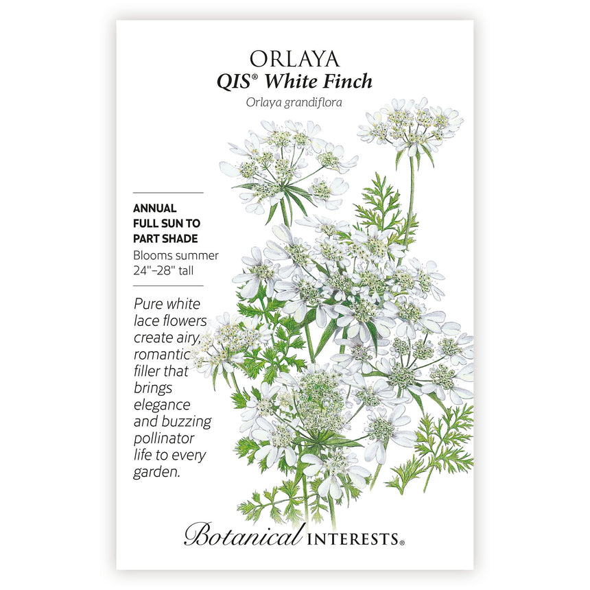 Orlaya QIS White Finch botanical seed packet with plant illustration and botanical information.