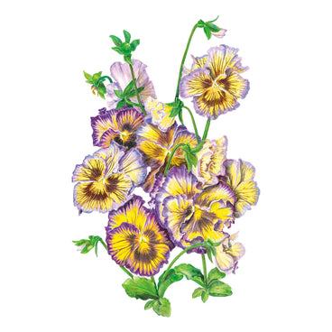 Illustration of purple and yellow Frizzle Sizzle Lemonberry Pansies on a white background