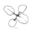 Line drawing of Spring Matrix™ Midnight Glow Pansy seedling on a white background