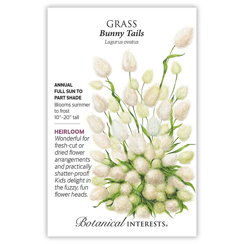 Botanical Interests seed packet for Bunny Tails Grass (Lagurus ovatus) illustrated with clusters of fuzzy, oval white-and-green flower heads on slender green stems, with printed text noting it's an heirloom annual for full sun to part shade, blooming summer to frost, growing 10–20 inches tall, and suited to fresh-cut or dried arrangements.