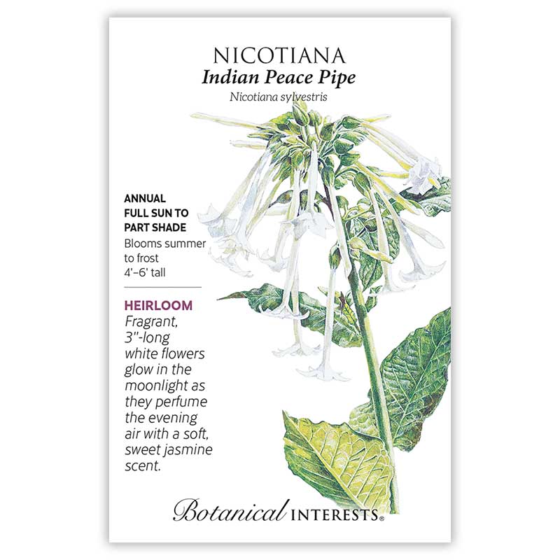 Seed packet for Nicotiana "Indian Peace Pipe" featuring an illustration of clustered, long tubular white trumpet flowers with drooping blooms atop broad green leaves, alongside text noting it's a heirloom annual, 4'-6' tall, blooming summer to frost with fragrant, jasmine-scented flowers.