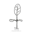 Line drawing of a young seedling with two small oval cotyledon leaves and one larger elongated true leaf on a single stem, labeled "Seedling" beneath the illustration.