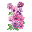 Illustration of pink and purple Matrix® Rose Blotch Pansy flowers with green leaves on a white background
