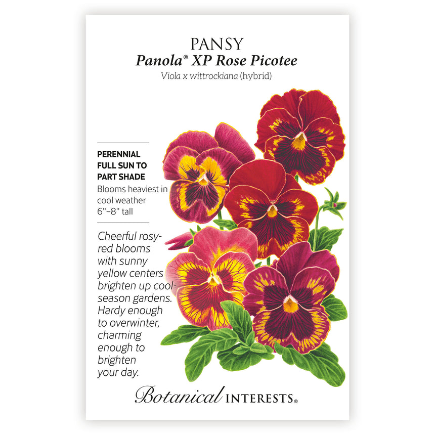 Panama XP Rose Picotee pansy seed packet with colorful flowers and botanical information on a white background