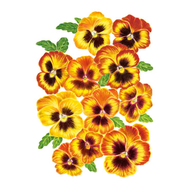 Arrangement of yellow and orange Matrix® Solar Flare Pansy flowers with green leaves on a white background