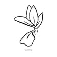 Black line drawing of QIS® Zanzibar Safflower seedling on a white background
