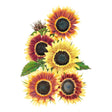 Five Summer Lovin Sunflowers with green leaves on a white background