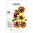 Summer Lovin Sunflower seed packet with illustrations and botanical information on a white background