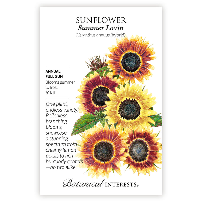 Summer Lovin Sunflower seed packet with illustrations and botanical information on a white background
