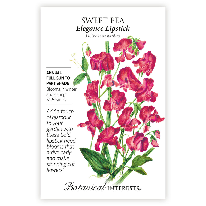 Elegance Lipstick Sweet Pea plant seed packet with botanical details on a white background