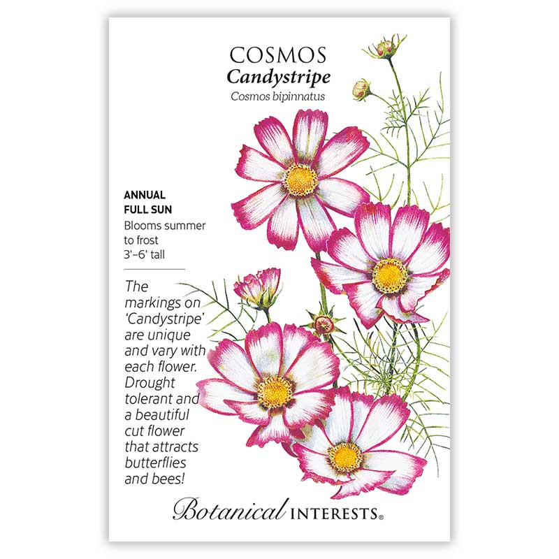 Seed packet for Cosmos bipinnatus 'Candystripe' featuring an illustration of pink-and-white striped daisy-like blooms with yellow centers and feathery foliage, alongside text noting it's a full-sun annual growing 3–6 feet tall, blooming summer to frost, drought tolerant, and attractive to butterflies and bees.