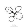 Line drawing of a young seedling with four rounded, scalloped-edged leaves branching from a central stem, labeled "Seedling" beneath the illustration.