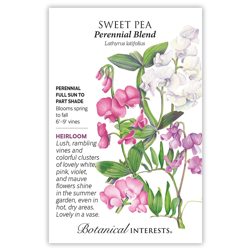 Botanical Interests seed packet for Perennial Blend Sweet Pea, illustrated with clustered white, pink, violet, and mauve flowers on lush climbing vines, with printed text noting it's a full sun to part shade heirloom perennial blooming spring to fall on 6-9 foot vines.