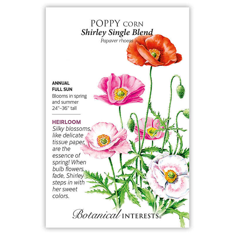 Seed packet for Shirley Single Blend corn poppy featuring a watercolor illustration of orange, pink, and white single-petaled poppies with feathery green foliage, plus printed text noting it's a full-sun annual heirloom growing 24–36 inches tall and blooming spring through summer.