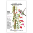 Seed packet for Funny Valentine Blend Cypress Vine featuring an illustration of a hummingbird feeding from star-shaped white, pink, and red tubular flowers with fern-like foliage climbing a wooden stake, alongside text noting it's an heirloom annual vine for full sun, blooming summer to frost, growing 6 to 20 feet.