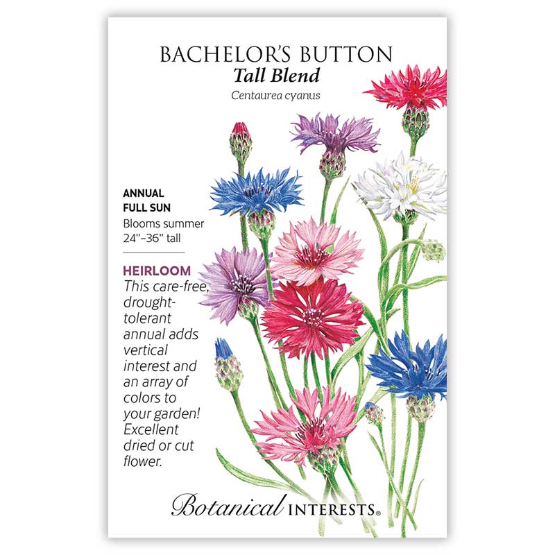 Front of an organic Botanical Interests seed packet for Tall Blend Bachelor's Button Seeds displaying heirloom description and a botanical illustration of colorful pink, purple, and blue bachelor's button flowers.