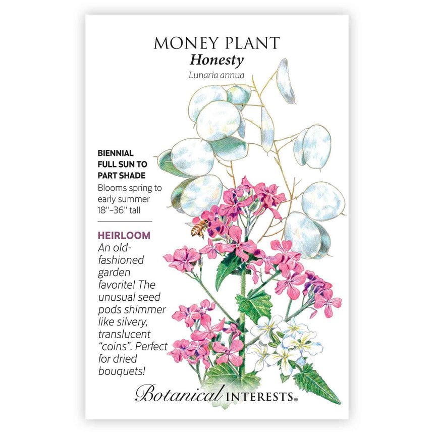 Seed packet for Honesty Money Plant illustrating pink and white flower clusters with a visiting bee, plus round silvery translucent seed pods, alongside text describing it as a biennial for full sun to part shade, blooming spring to early summer, 18–36 inches tall.