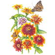 Botanical illustration of Persian Carpet zinnias showing bicolour blooms in red, orange, yellow and pale pink with dark centres, plus a painted lady butterfly hovering above the cluster of flowers and green stems.