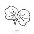 Black and white line art illustration of two round, lily-pad-shaped nasturtium leaves labeled "Seedling" with copyright text for Botanical Interests, Inc., for Butterscotch Nasturtium Seeds.