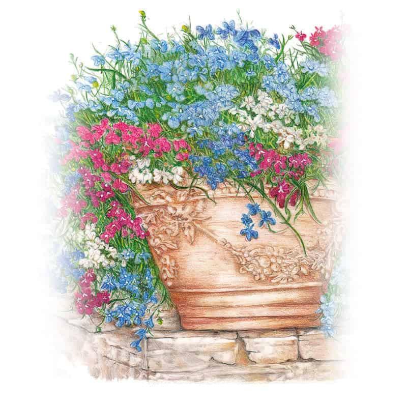 Illustration of trailing lobelia spilling from an ornate terracotta urn atop a stone wall, with cascading sprays of blue, white, and magenta blooms among slender green foliage.