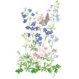 Botanical illustration of Butterfly Blend delphiniums showing tall stems of blue, pink, and white florets with feathery green foliage, alongside a white-and-black butterfly, on a plain white background.