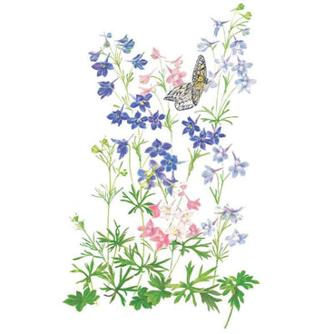 Botanical illustration of Butterfly Blend delphiniums showing tall stems of blue, pink, and white florets with feathery green foliage, alongside a white-and-black butterfly, on a plain white background.